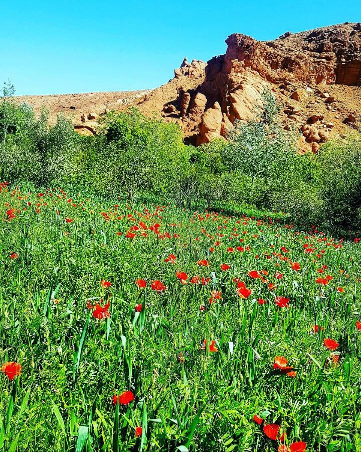 Auberge Kasbah Ait Marghad Tamellalt  Exterior foto